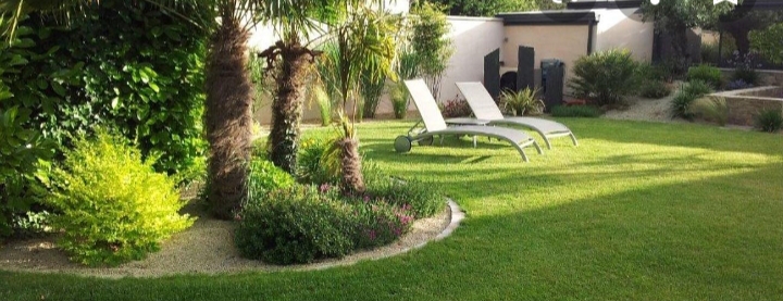 Jardin paysager avec palmiers